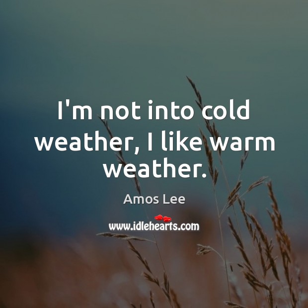 I’m not into cold weather, I like warm weather. Amos Lee Picture Quote