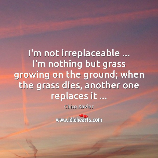 I’m not irreplaceable … I’m nothing but grass growing on the ground; when Image