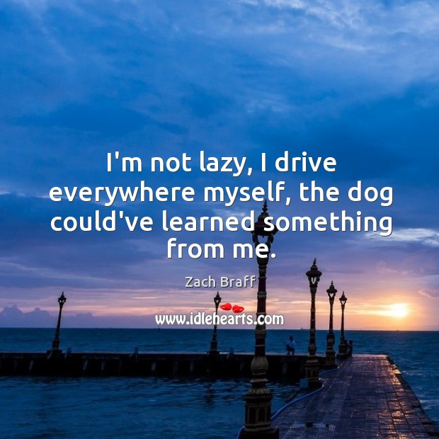 I’m not lazy, I drive everywhere myself, the dog could’ve learned something from me. Zach Braff Picture Quote