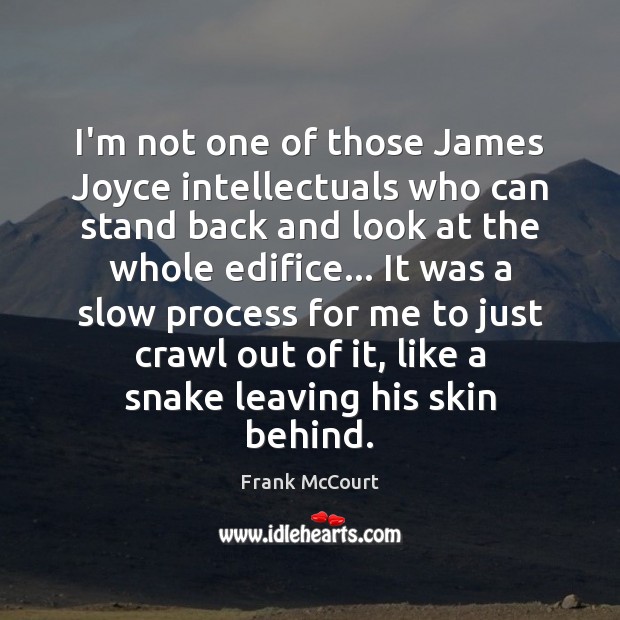I’m not one of those James Joyce intellectuals who can stand back Frank McCourt Picture Quote