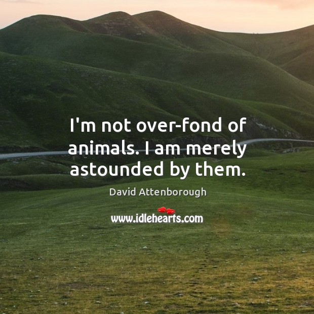 I’m not over-fond of animals. I am merely astounded by them. David Attenborough Picture Quote