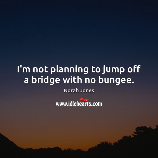 I’m not planning to jump off a bridge with no bungee. Image