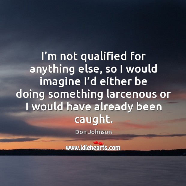 I’m not qualified for anything else, so I would imagine I’d either be doing something Don Johnson Picture Quote