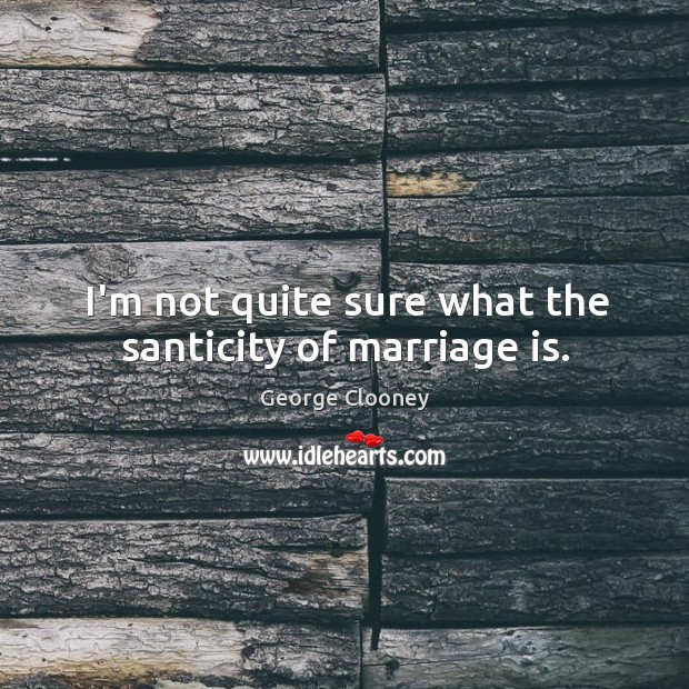 I’m not quite sure what the santicity of marriage is. Image