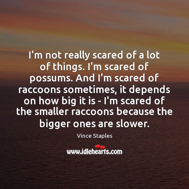 I’m not really scared of a lot of things. I’m scared of Vince Staples Picture Quote