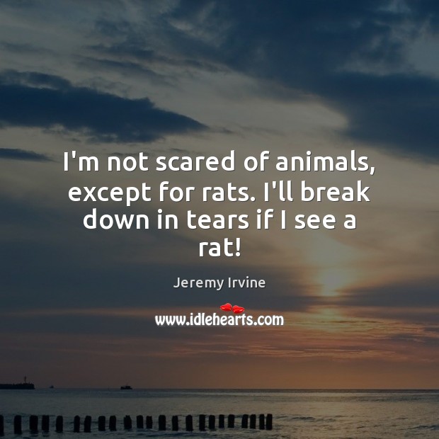 I’m not scared of animals, except for rats. I’ll break down in tears if I see a rat! Jeremy Irvine Picture Quote