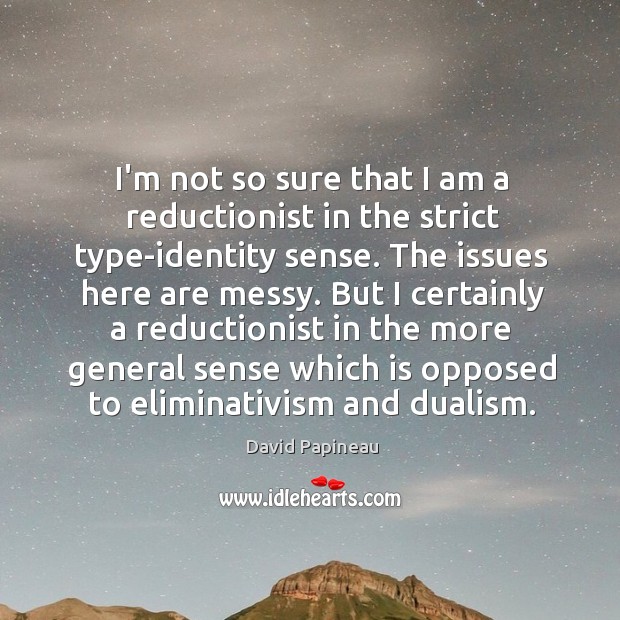 I’m not so sure that I am a reductionist in the strict Image