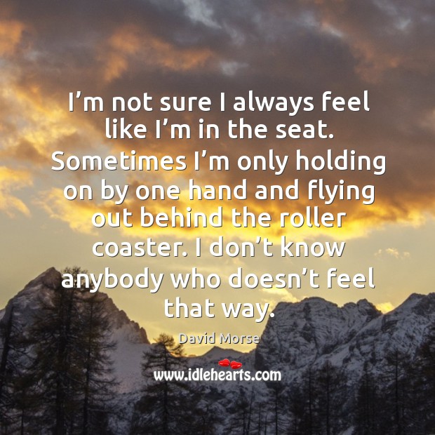 I’m not sure I always feel like I’m in the seat. Sometimes I’m only holding on by one hand and David Morse Picture Quote