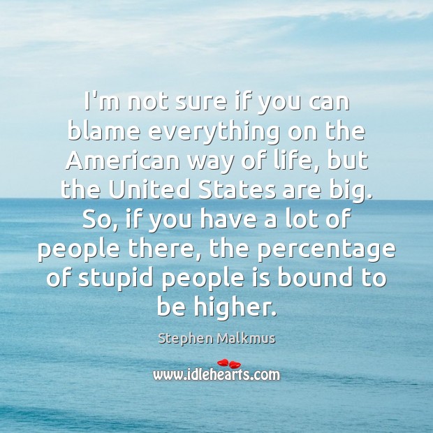 I’m not sure if you can blame everything on the American way Stephen Malkmus Picture Quote