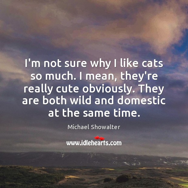 I’m not sure why I like cats so much. I mean, they’re Michael Showalter Picture Quote