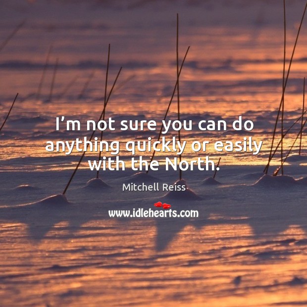 I’m not sure you can do anything quickly or easily with the north. Mitchell Reiss Picture Quote