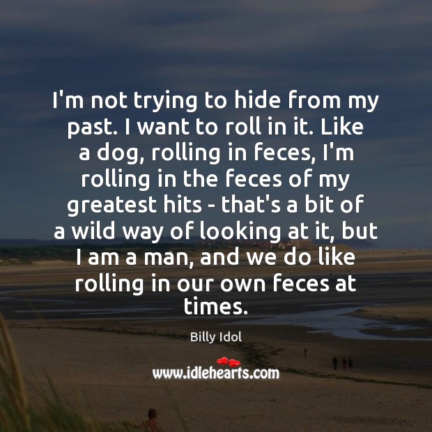 I’m not trying to hide from my past. I want to roll Billy Idol Picture Quote