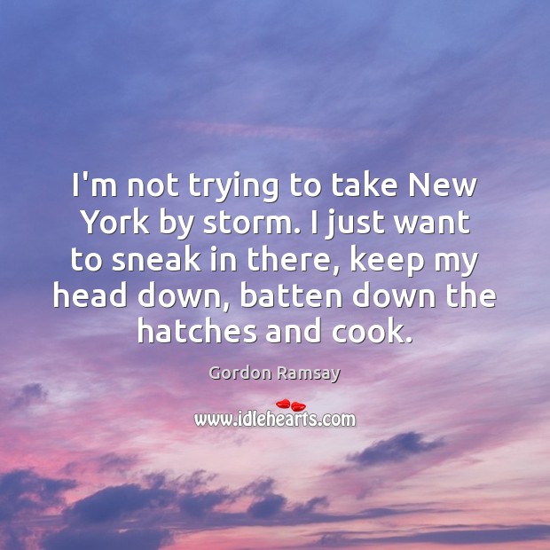 I’m not trying to take New York by storm. I just want Gordon Ramsay Picture Quote