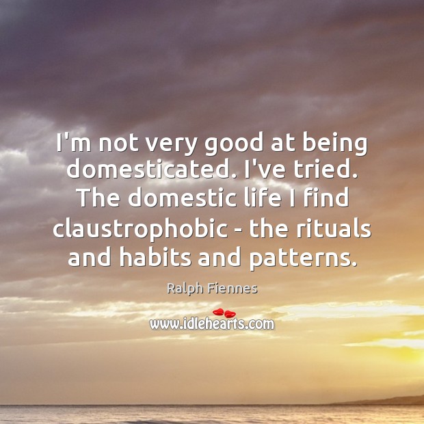 I’m not very good at being domesticated. I’ve tried. The domestic life Ralph Fiennes Picture Quote
