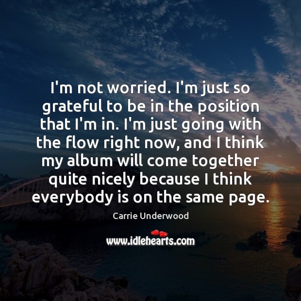 I’m not worried. I’m just so grateful to be in the position Carrie Underwood Picture Quote