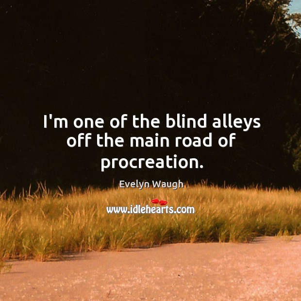 I’m one of the blind alleys off the main road of procreation. Evelyn Waugh Picture Quote