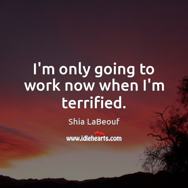 I’m only going to work now when I’m terrified. Shia LaBeouf Picture Quote