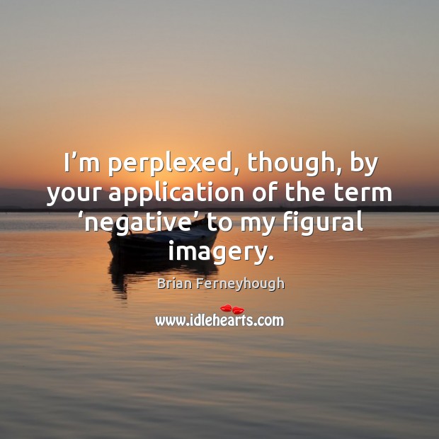 I’m perplexed, though, by your application of the term ‘negative’ to my figural imagery. Brian Ferneyhough Picture Quote
