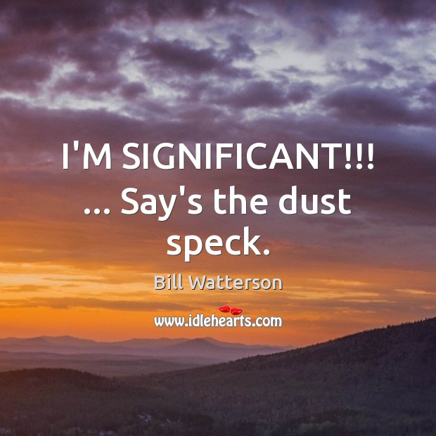 I’M SIGNIFICANT!!! … Say’s the dust speck. Bill Watterson Picture Quote
