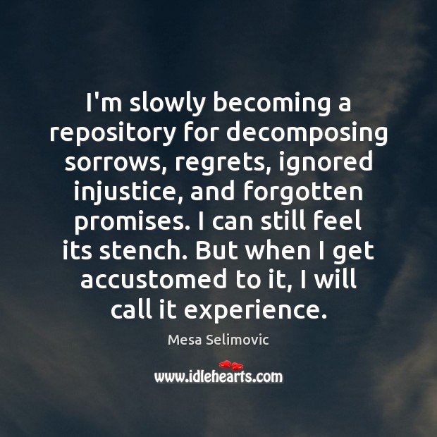 I’m slowly becoming a repository for decomposing sorrows, regrets, ignored injustice, and Mesa Selimovic Picture Quote