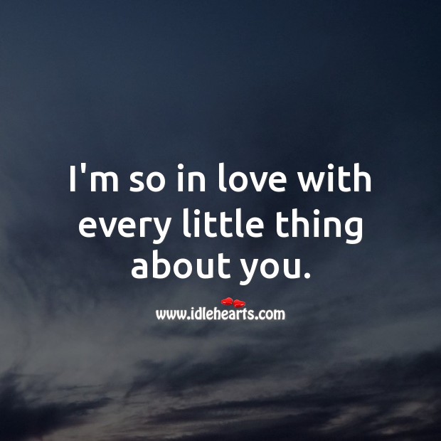 I’m so in love with every little thing about you. Being In Love Quotes Image