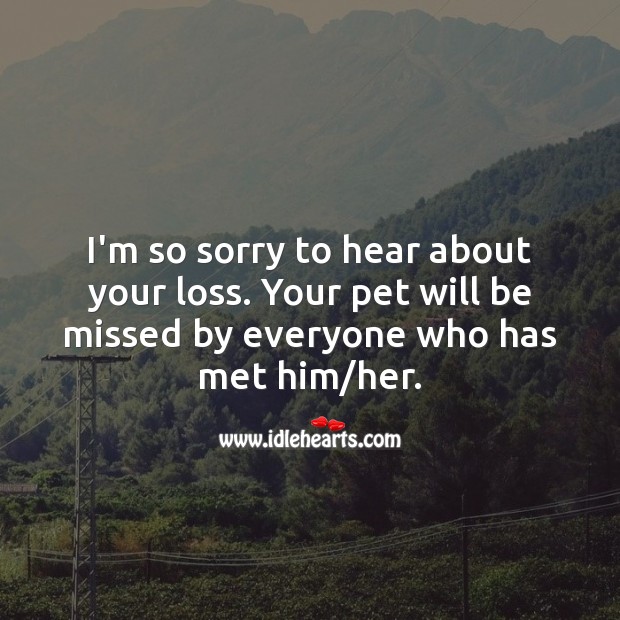 I’m so sorry to hear about your loss. Sympathy Messages for Loss of Pet Image