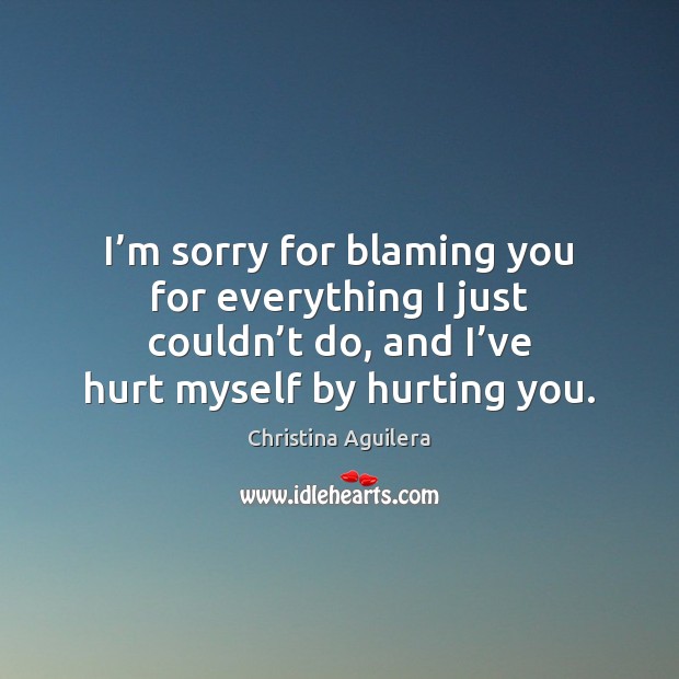 I’m sorry for blaming you for everything I just couldn’t Christina Aguilera Picture Quote