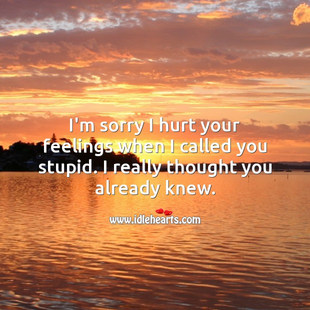 I’m sorry I hurt your feelings when I called you stupid. Hurt Quotes Image