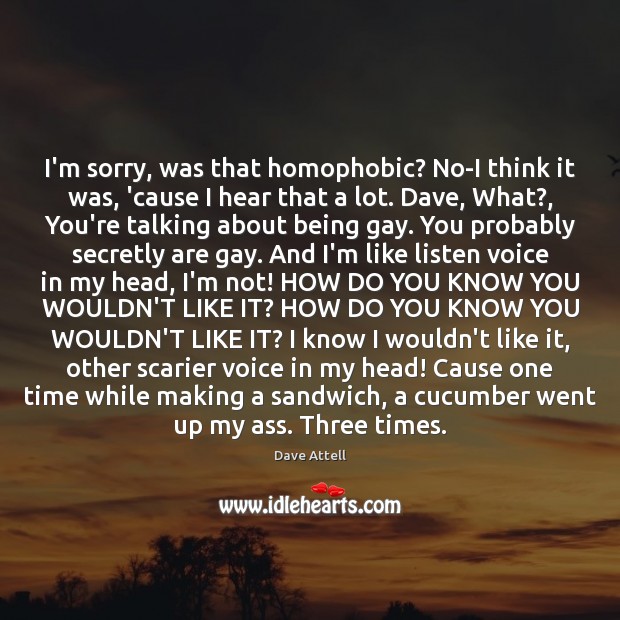 I’m sorry, was that homophobic? No-I think it was, ’cause I hear Dave Attell Picture Quote