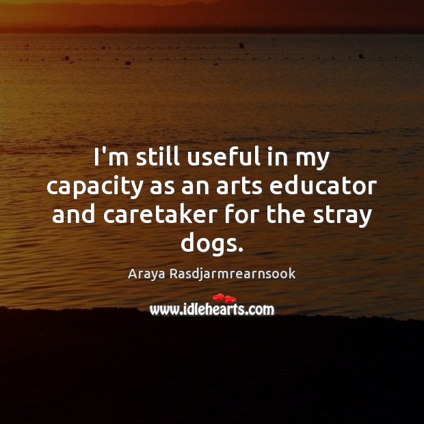 I’m still useful in my capacity as an arts educator and caretaker for the stray dogs. Image