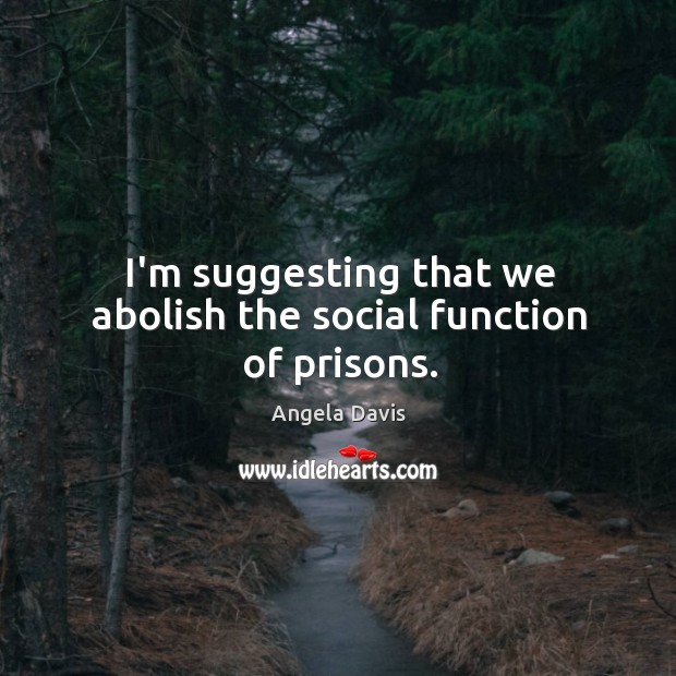 I’m suggesting that we abolish the social function of prisons. Angela Davis Picture Quote