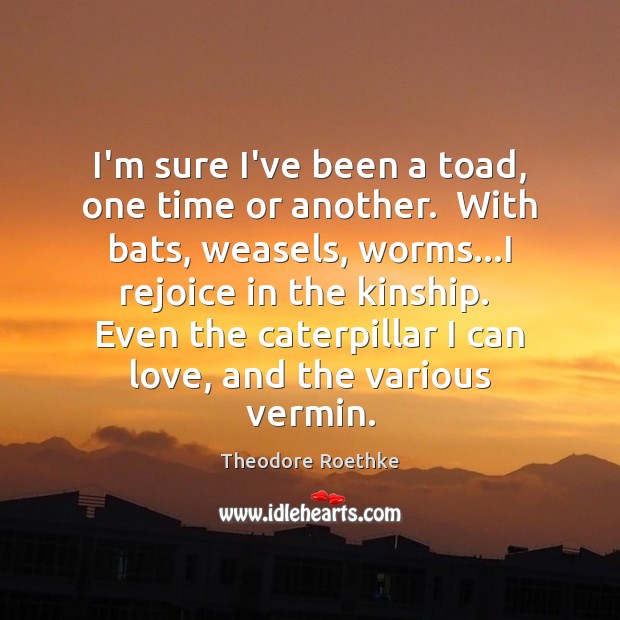 I’m sure I’ve been a toad, one time or another.  With bats, Theodore Roethke Picture Quote