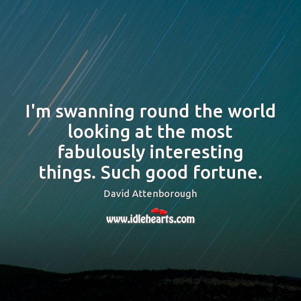 I’m swanning round the world looking at the most fabulously interesting things. David Attenborough Picture Quote