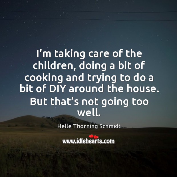 I’m taking care of the children, doing a bit of cooking and trying to do a bit of diy around the house. Helle Thorning Schmidt Picture Quote