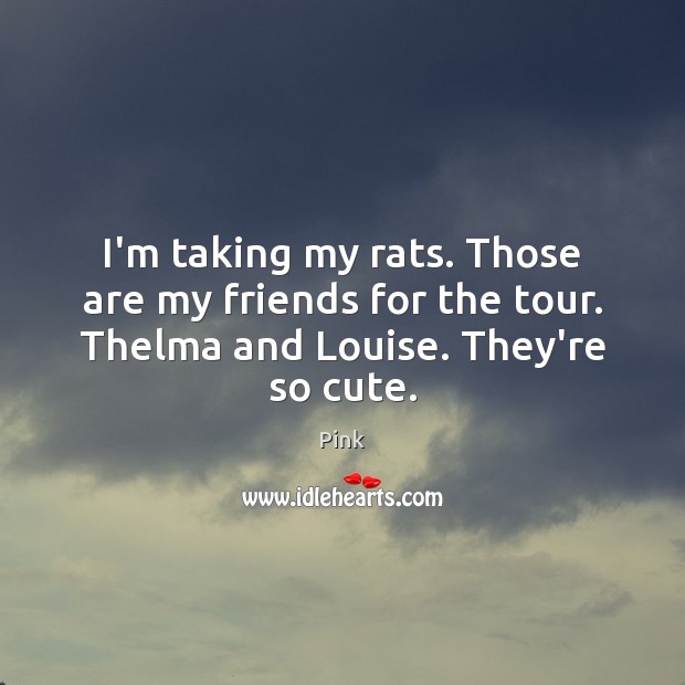 I’m taking my rats. Those are my friends for the tour. Thelma and Louise. They’re so cute. Pink Picture Quote