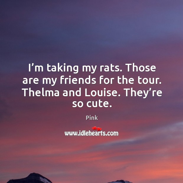 I’m taking my rats. Those are my friends for the tour. Thelma and louise. They’re so cute. Pink Picture Quote