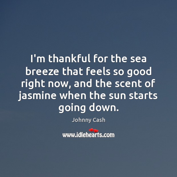 I’m thankful for the sea breeze that feels so good right now, Thankful Quotes Image