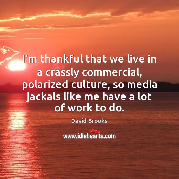 I’m thankful that we live in a crassly commercial, polarized culture, so David Brooks Picture Quote