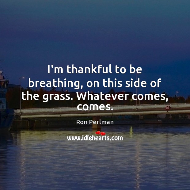 I’m thankful to be breathing, on this side of the grass. Whatever comes, comes. Thankful Quotes Image