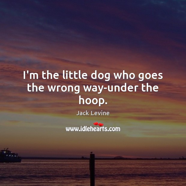 I’m the little dog who goes the wrong way-under the hoop. Jack Levine Picture Quote
