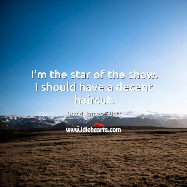 I’m the star of the show. I should have a decent haircut. David James Elliott Picture Quote