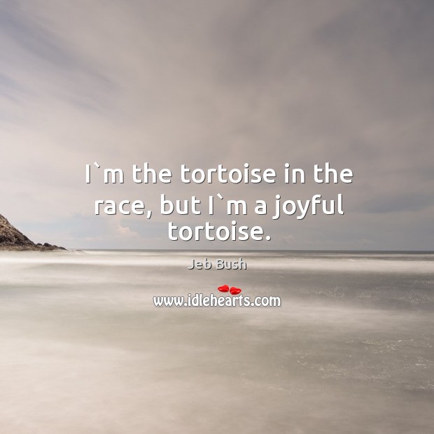 I`m the tortoise in the race, but I`m a joyful tortoise. Jeb Bush Picture Quote