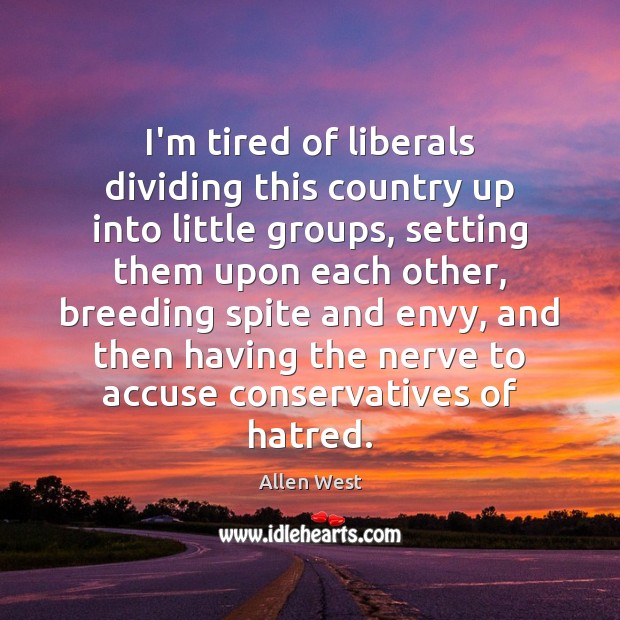 I’m tired of liberals dividing this country up into little groups, setting Allen West Picture Quote