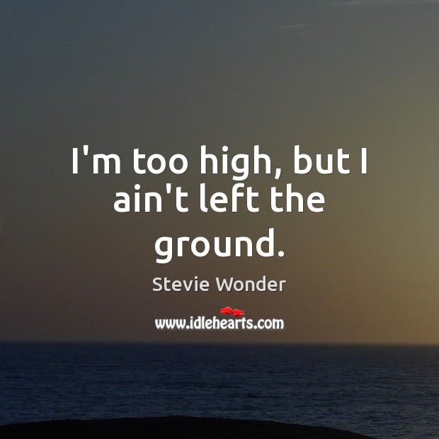 I’m too high, but I ain’t left the ground. Stevie Wonder Picture Quote