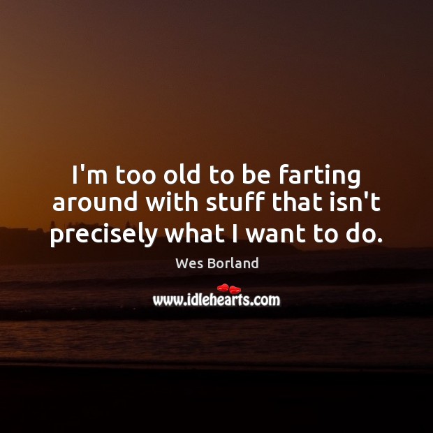 I’m too old to be farting around with stuff that isn’t precisely what I want to do. Wes Borland Picture Quote