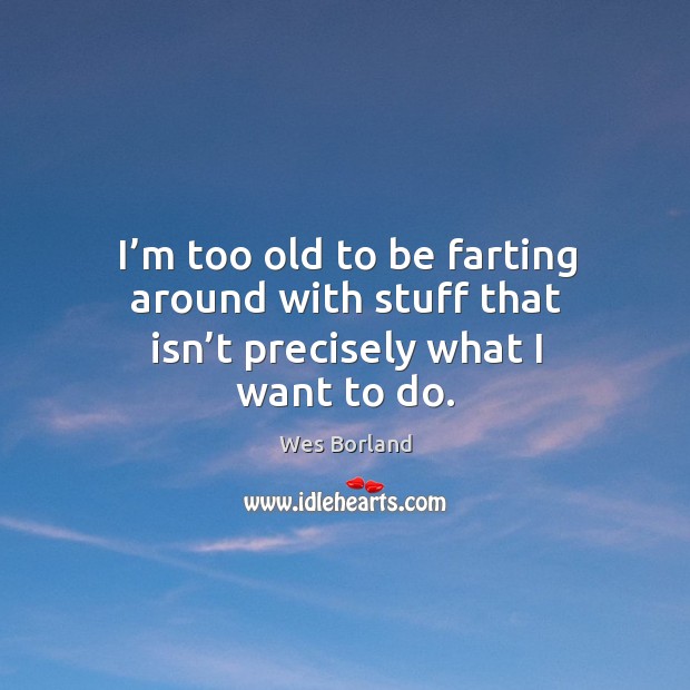 I’m too old to be farting around with stuff that isn’t precisely what I want to do. Wes Borland Picture Quote