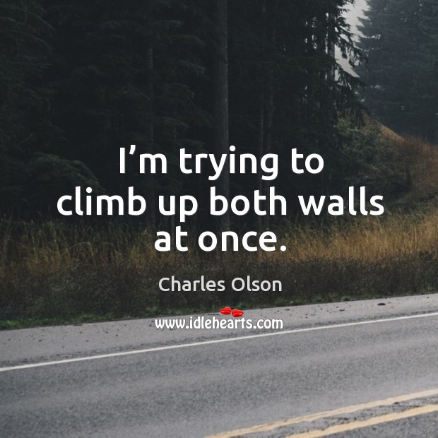 I’m trying to climb up both walls at once. Charles Olson Picture Quote