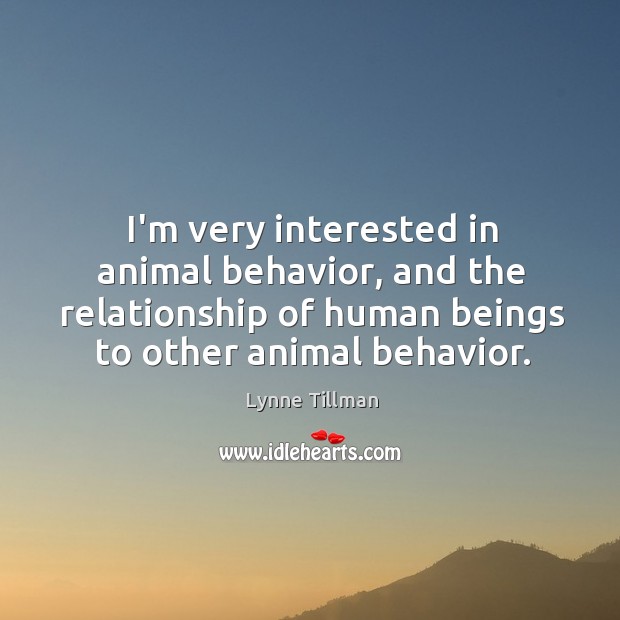 I’m very interested in animal behavior, and the relationship of human beings Lynne Tillman Picture Quote