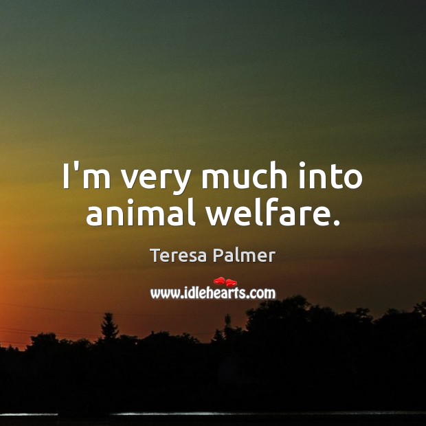 I’m very much into animal welfare. Teresa Palmer Picture Quote