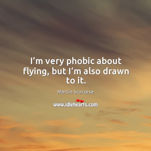 I’m very phobic about flying, but I’m also drawn to it. Image